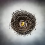 Gold Egg In The Nest